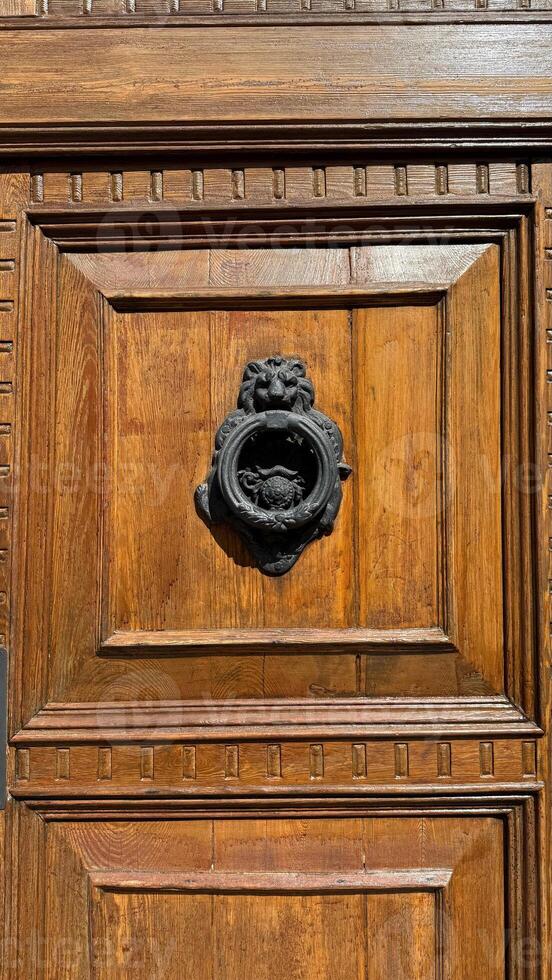 Ornate wooden door with intricate carvings and a decorative knocker, showcasing craftsmanship and historical architectural details photo