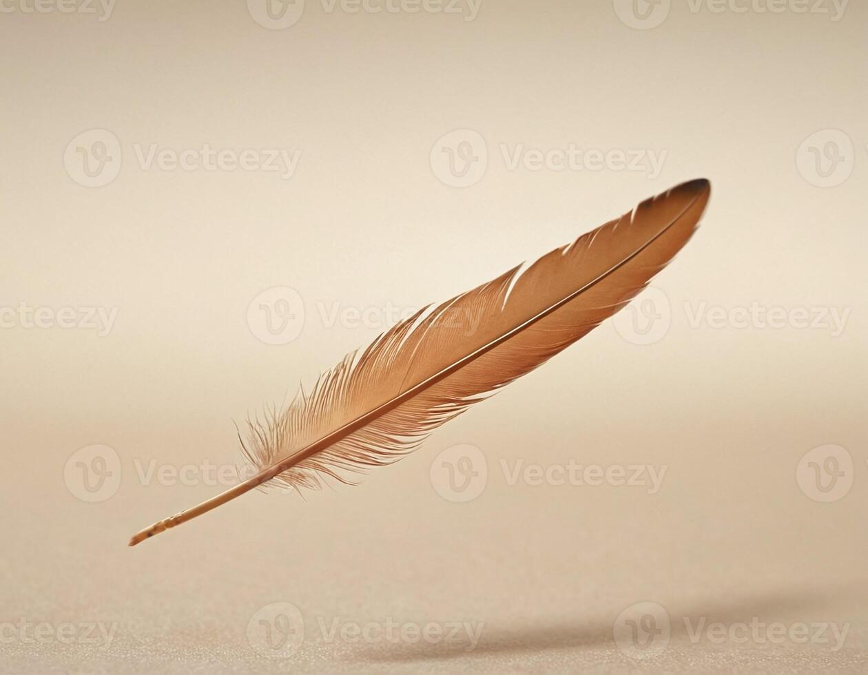 Soft floating feather depicted with clean lighting and minimalist elegance, offering a sense of tranquility and refinement for brand identity or artistic imagery photo