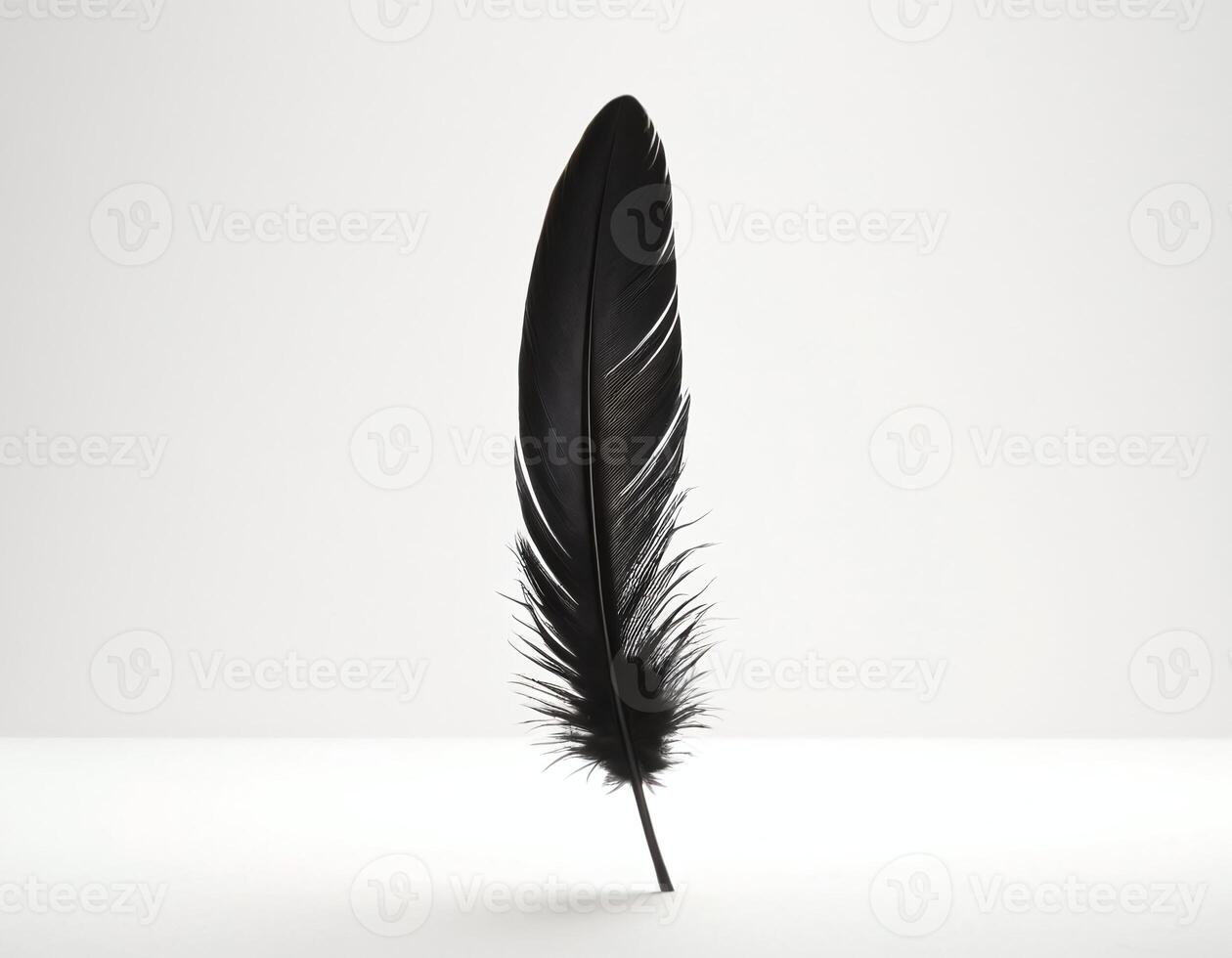 Detailed realistic black feather isolated on white background, minimalistic style focusing on intricate textures and clean presentation ideal for design, branding, or educational materials photo