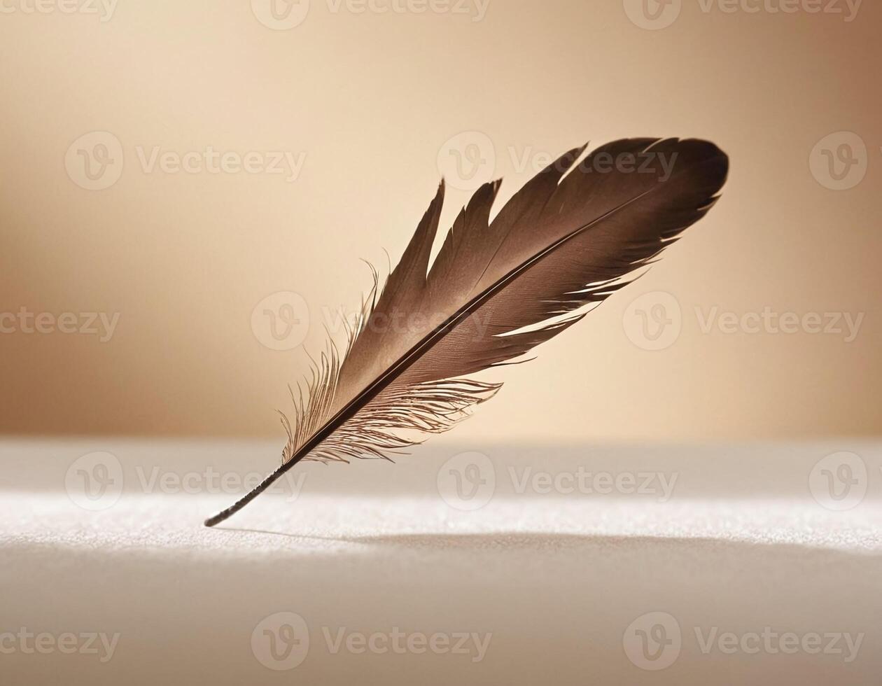 Graceful single feather gently floating with soft lighting in a minimalistic elegant style, ideal for peaceful, natural, or beauty-themed digital and print designs photo