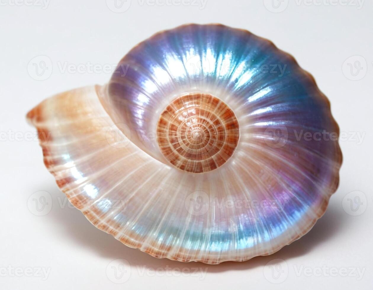 Pristine white background featuring an opalescent crystal shell with glowing sculpted highlights, blending natural textures with luxury lighting for exquisite artistic displays photo