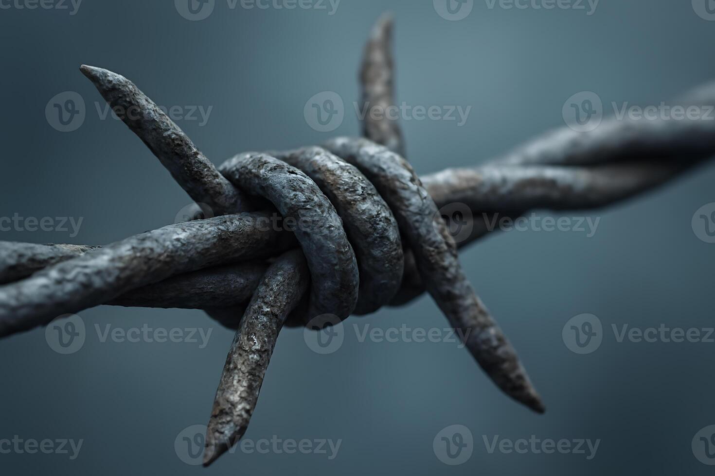 A close-up view of rusted barbed wire with sharp points, creating a sense of barrier, restriction, and weathered history photo