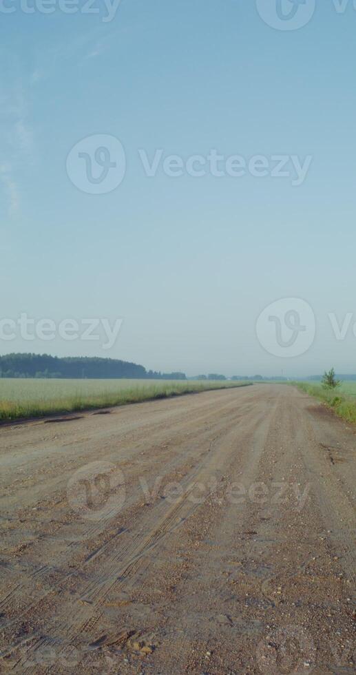 Green field with a sky view photo