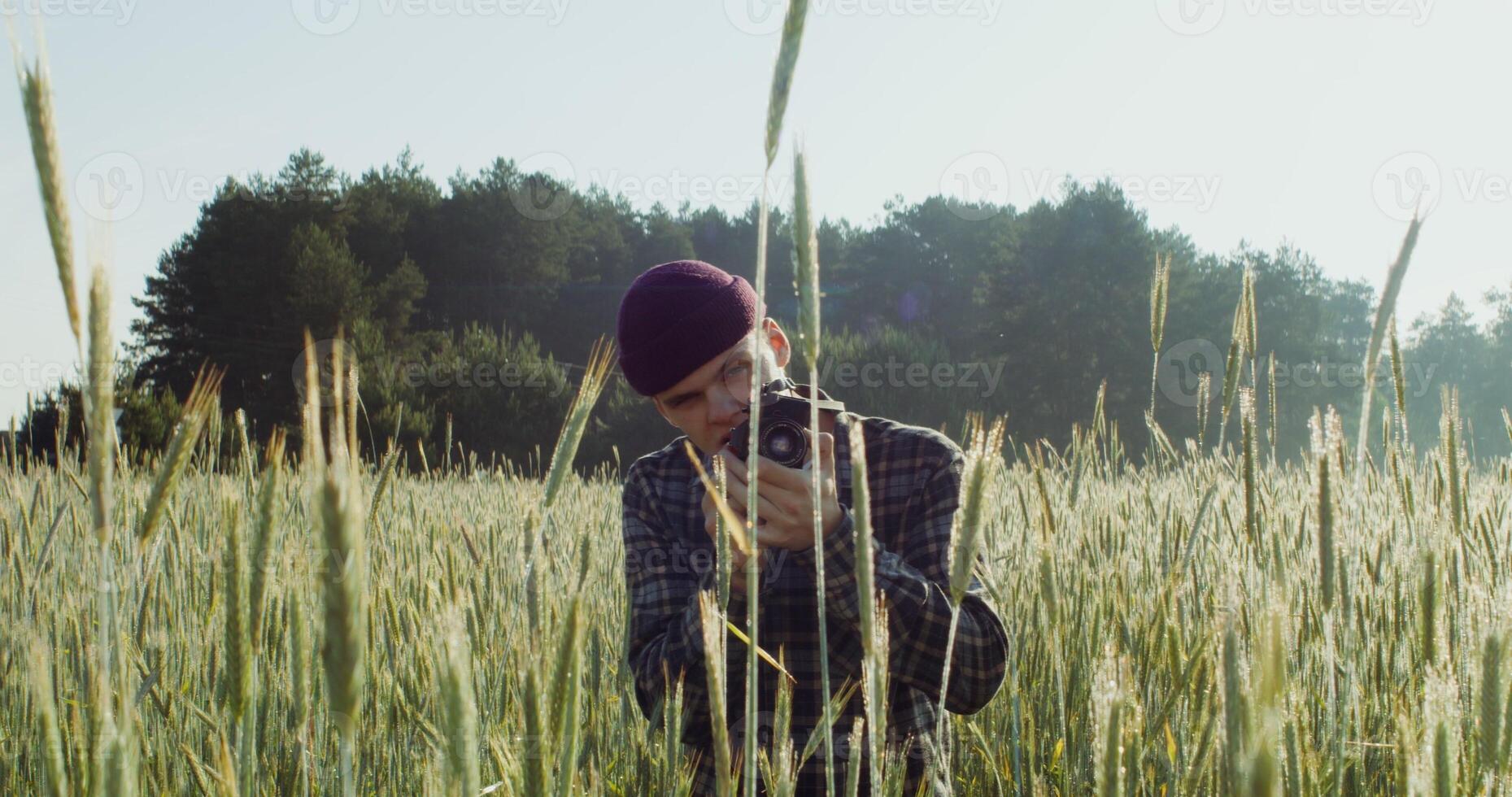 A young man makes photos on camera, sitting between ears of wheat in an agricultural field on a sunny day. 4k , red komodo