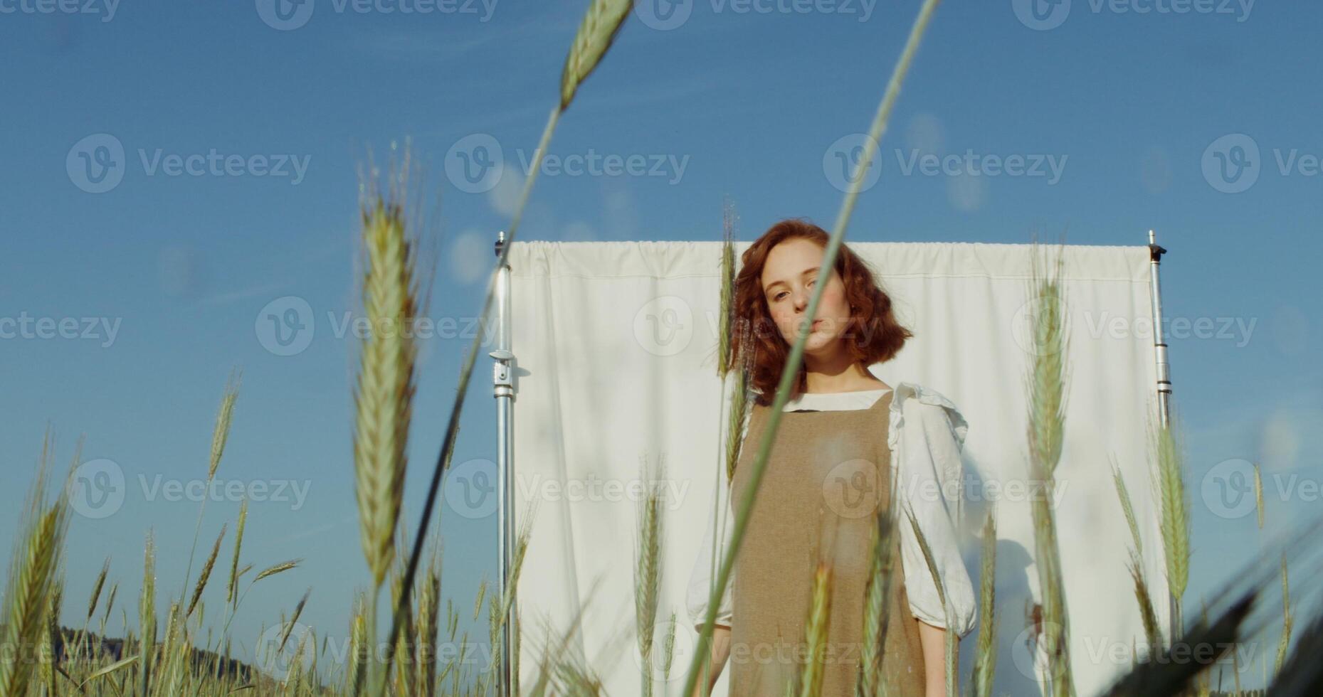 Beautiful red-haired woman poses in front of a white screen set among a wheat field, looking into the camera with a serious look. Ears of wheat are taller than a woman. 4k , red komodo photo