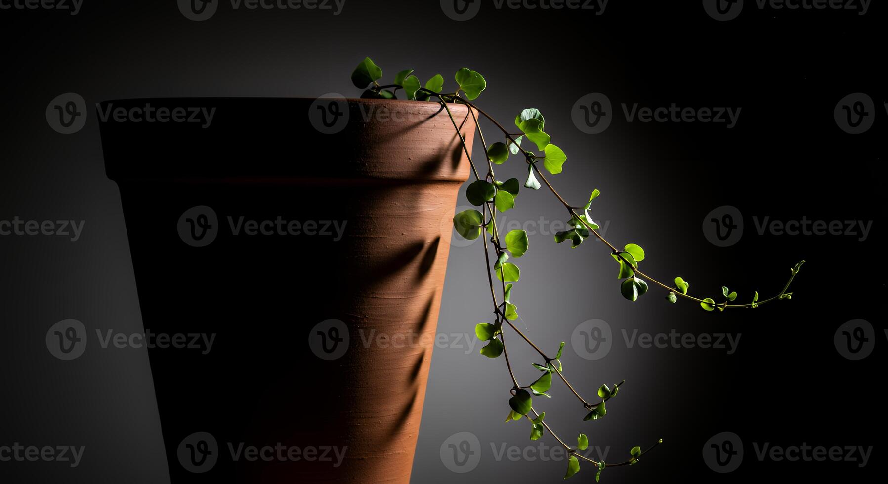 A plant in a pot on a table photo