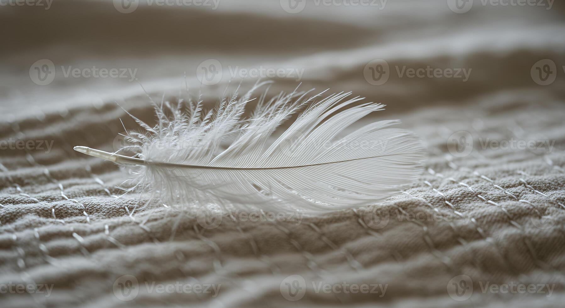 A white feather on a bed photo