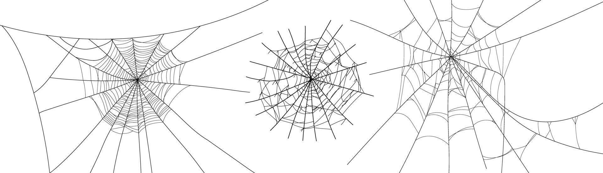 Spooky halloween old cobweb with various sizes and shapes. Old spider web set flat illustration. vector