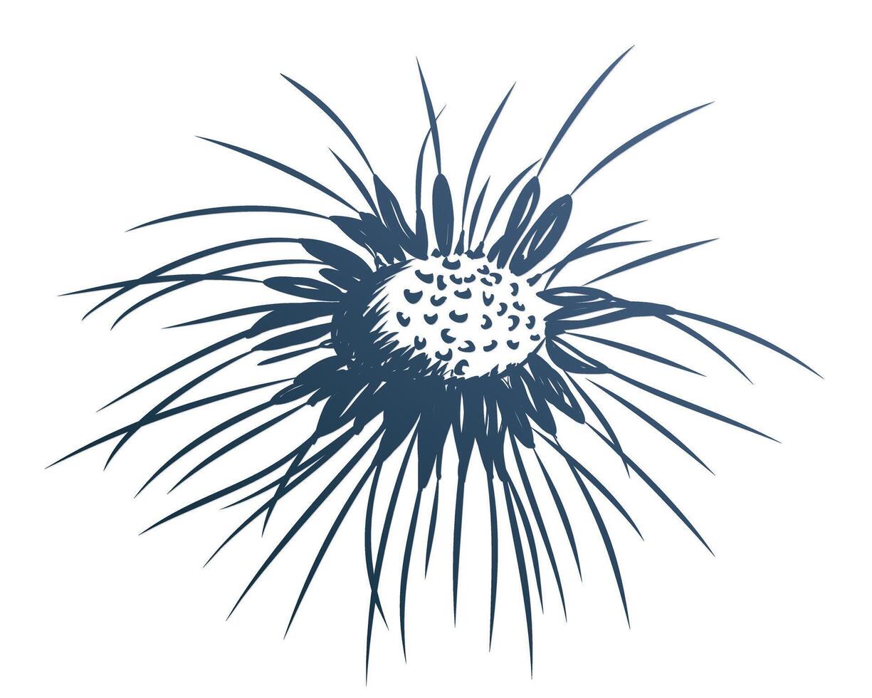 The Sketch of dandelion. vector