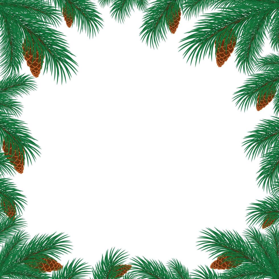 The frame with pine branches and cones. vector