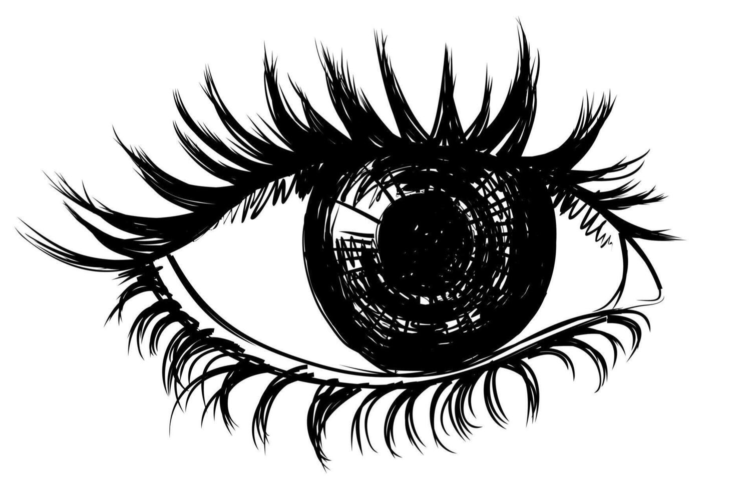 A sketch of the female eye. vector