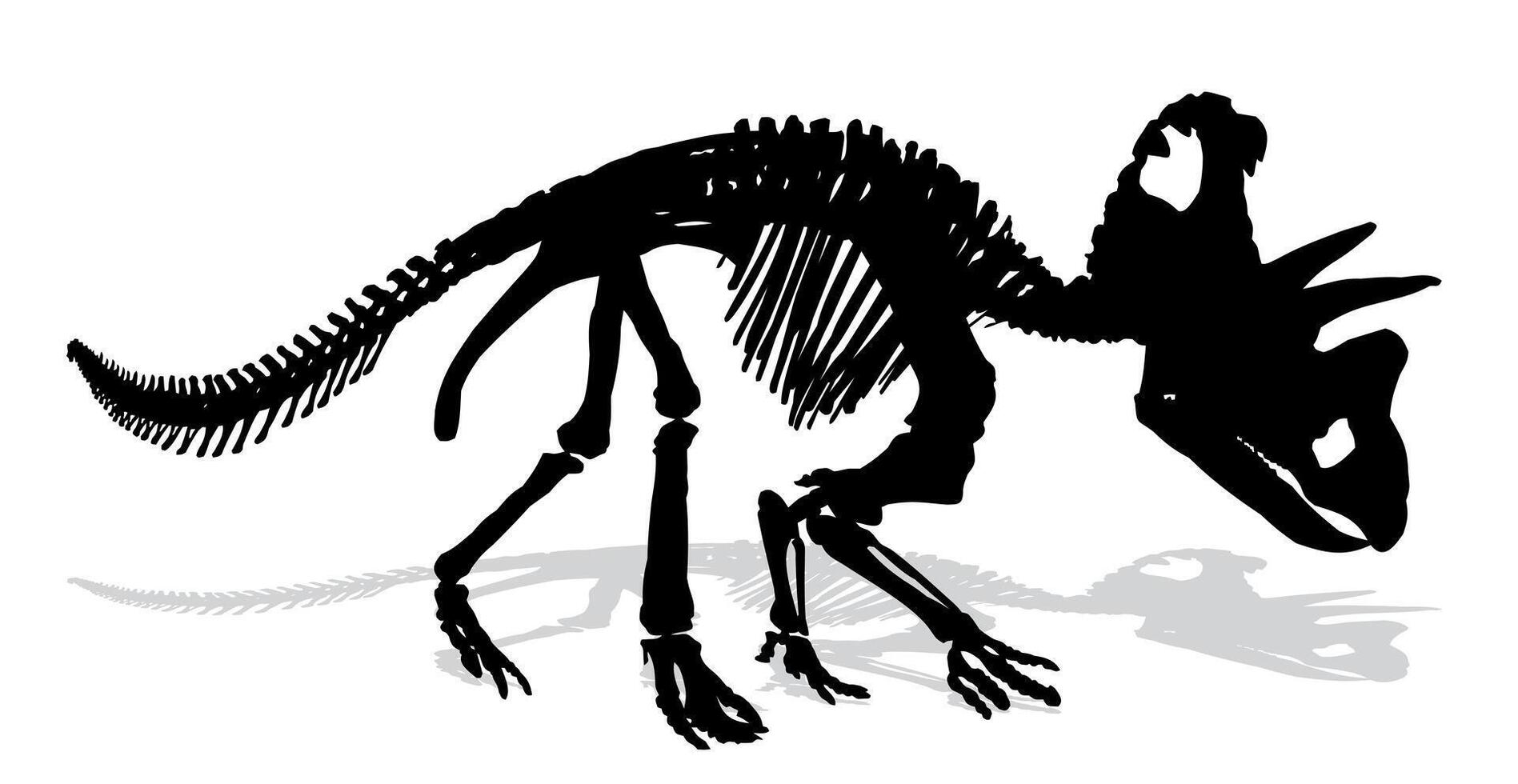 Skeleton of ancient dinosaur. vector