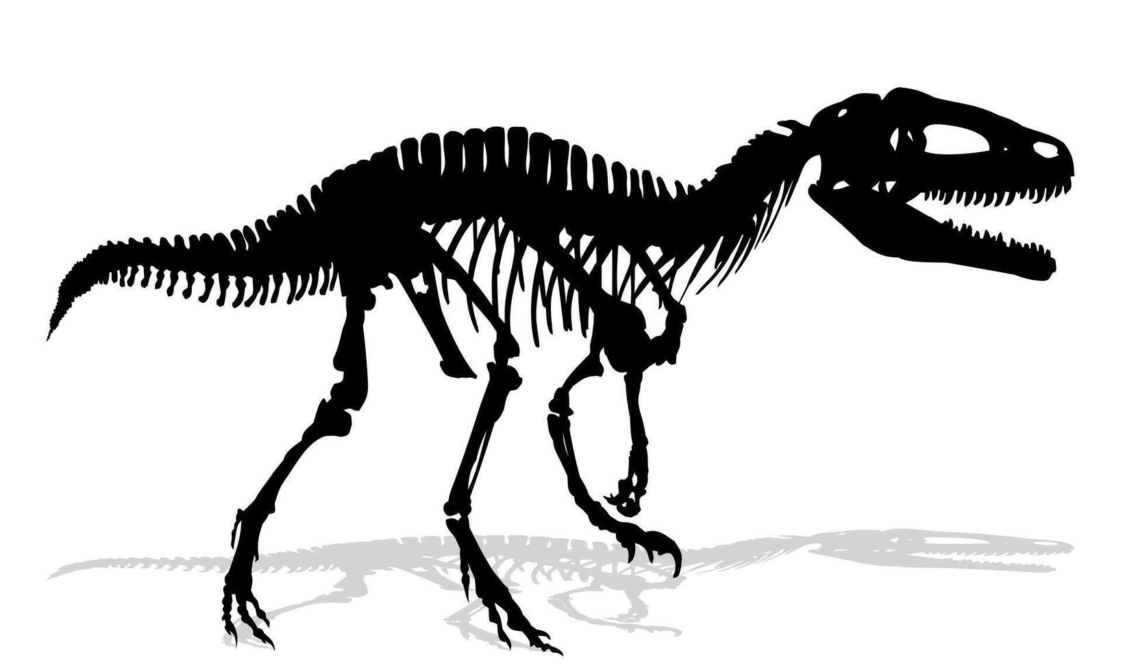 The big Dinosaur skeleton. vector