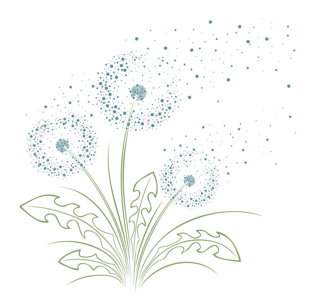 The sketch of dandelion Flower. vector
