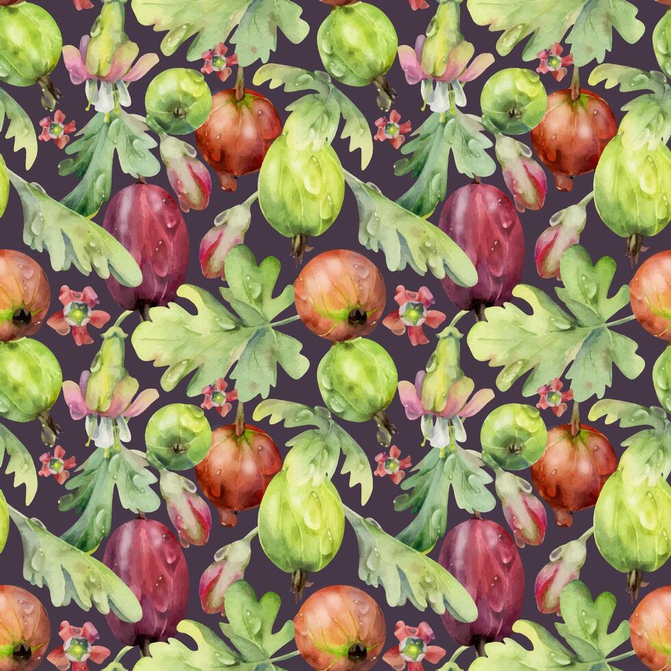 Gooseberry Currant garden berries leaves flowers scattered in water dew drops hand drawn in watercolor. Seamless pattern isolated on dark. Home preserves, food store decor, wrapping gift paper textile vector