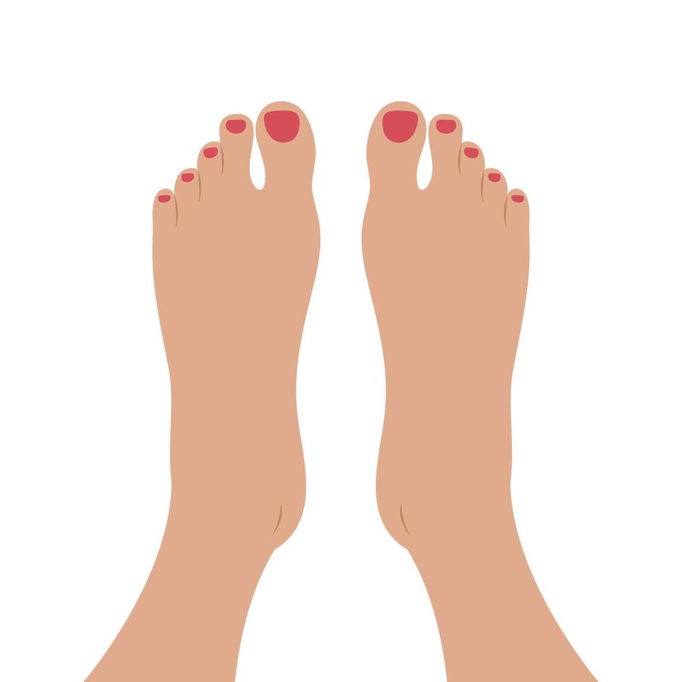 Top of female feet with red painted nails. Womens feet sole with manicure top view vector