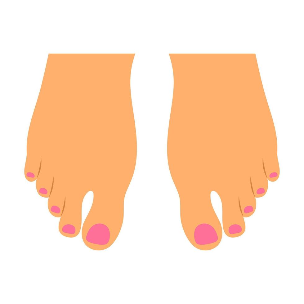 Womens feet sole with painted nails top view. Top of female feet with pedicure vector