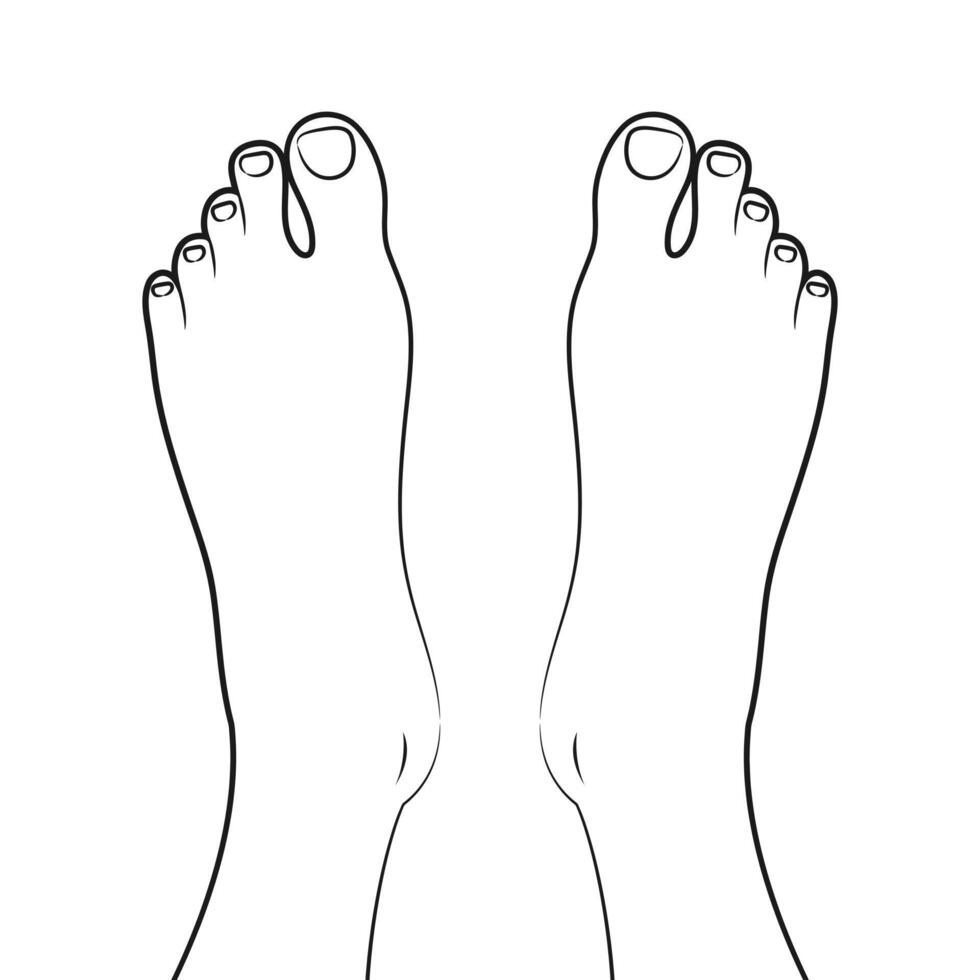 Barefoot outline. Linear sketch of a naked human foot vector
