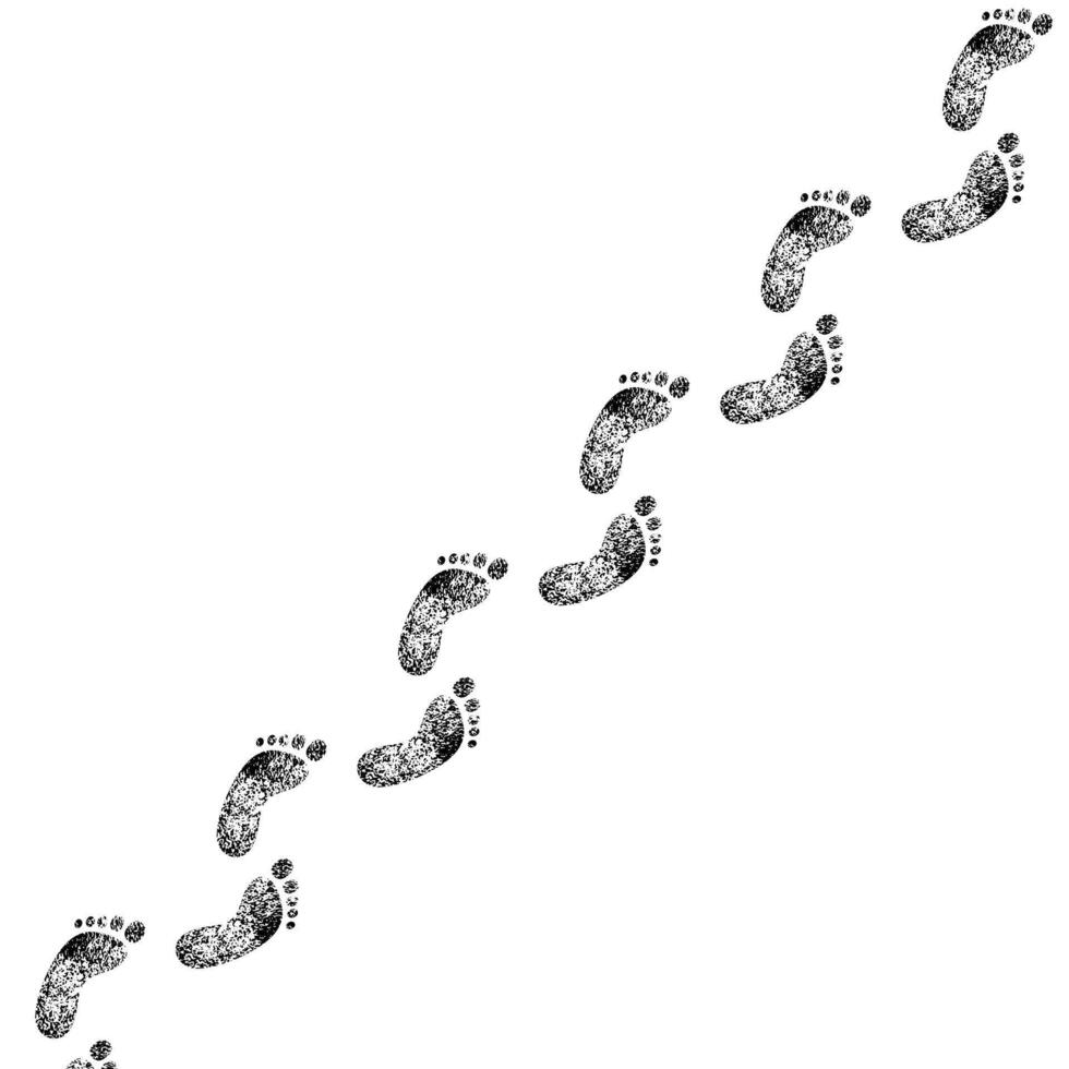 Trace of footprints isolated on white background. Footsteps track vector