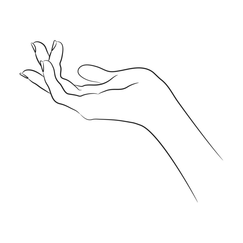 Linear sketch of a human hand in elegant gesture. Hand drawn beautiful female hand vector