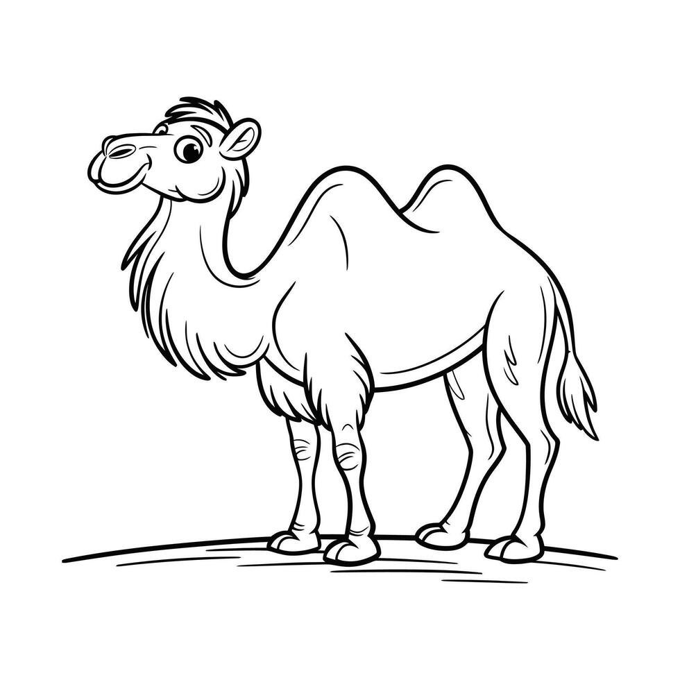 a camel coloring page for kids vector