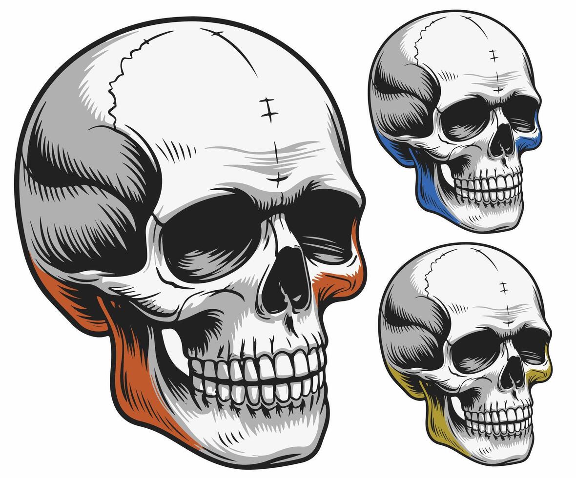 A unique approach to skull design in a concept illustration format. vector