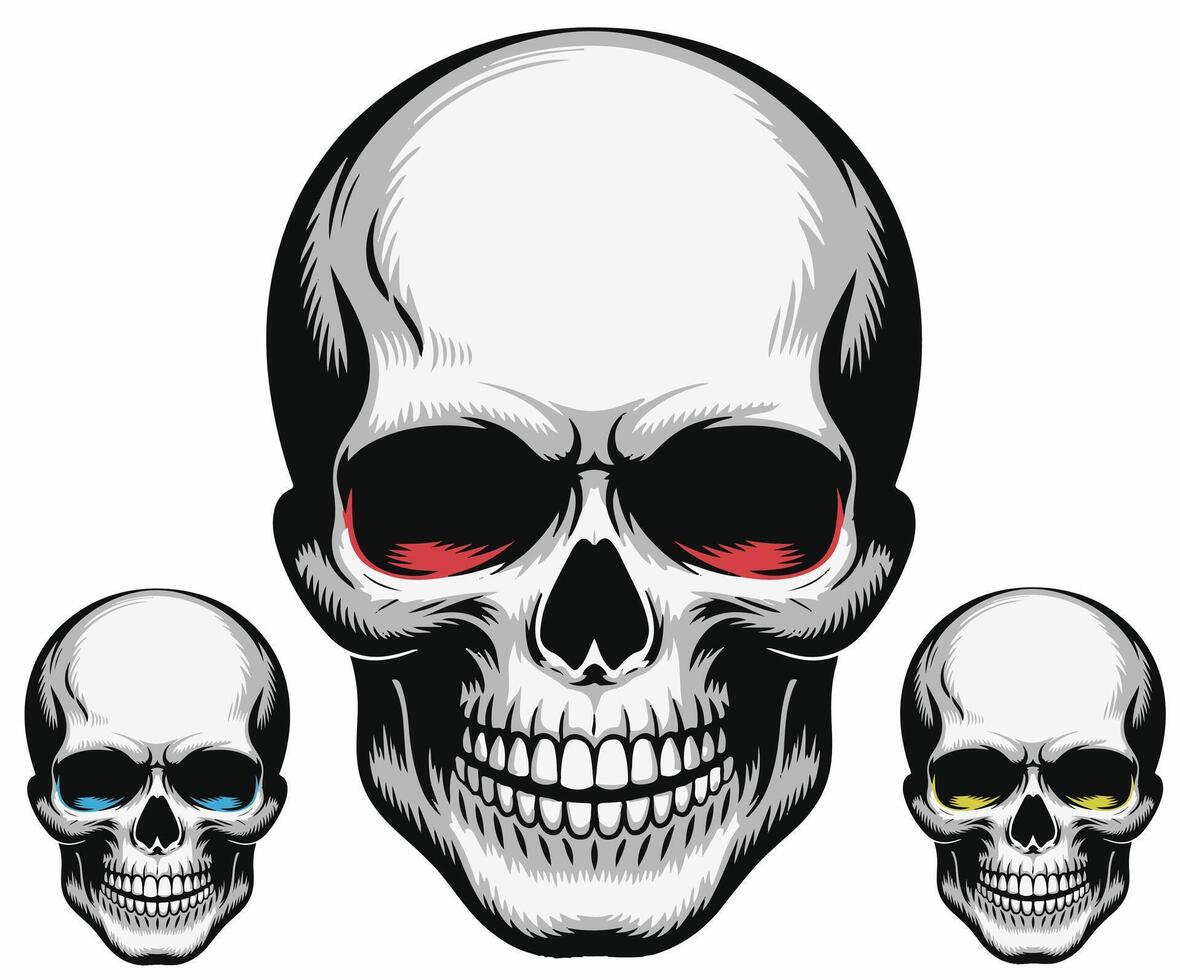 A compelling skull design drawn for illustration and concept development. vector