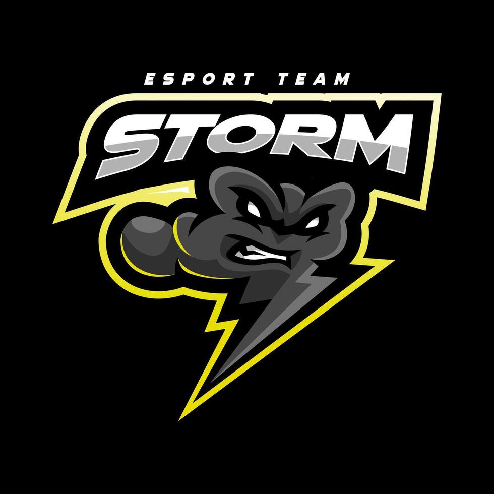 Storm mascot logo vector