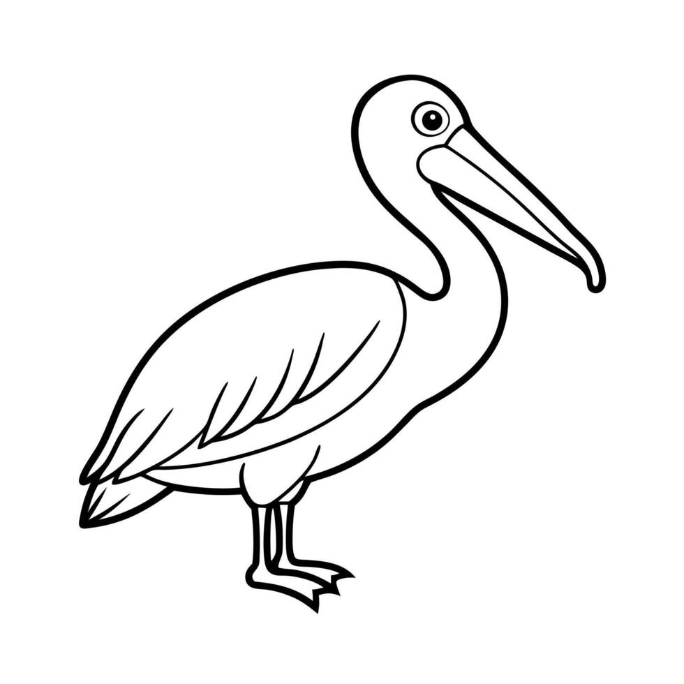 Spot Billed Pelican Line Art vector