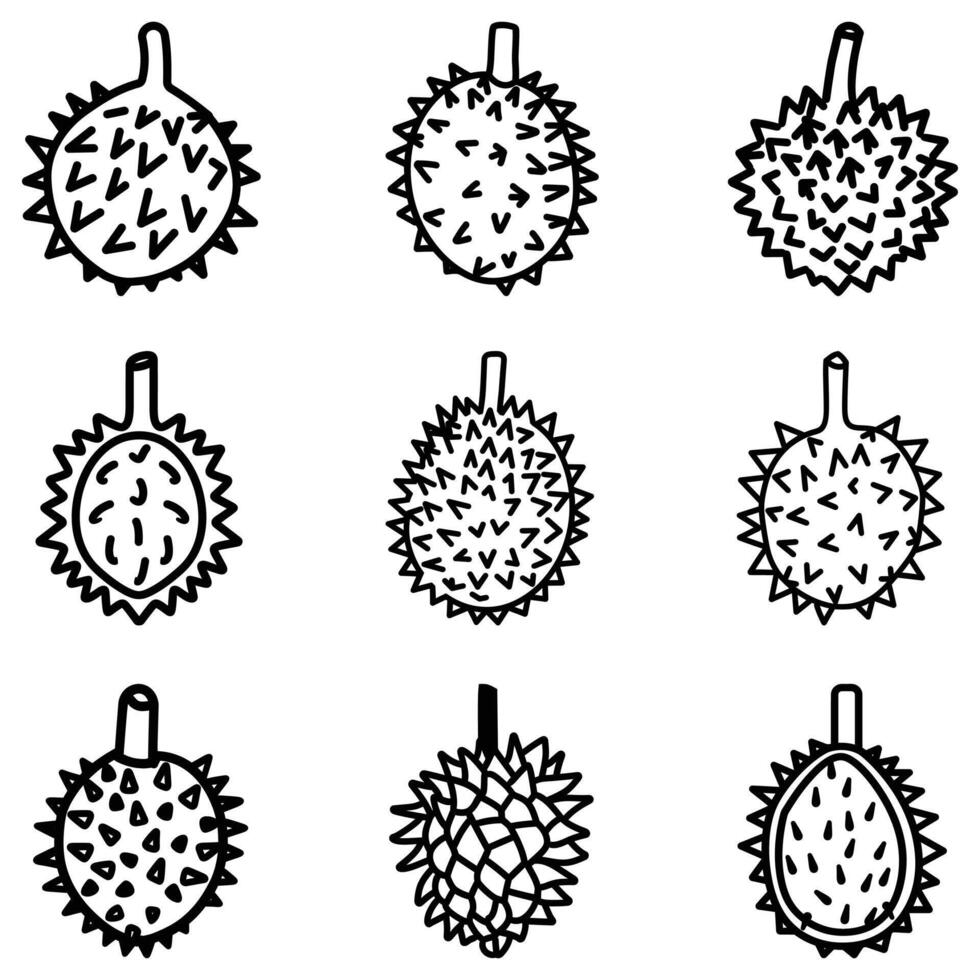 Different variations of durian fruits are shown in this black and white outline illustration vector