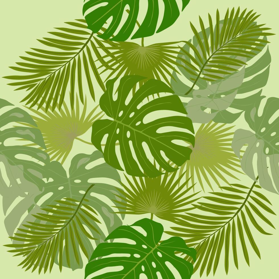 Monstera and palm leaves illustration, on a green background. A set of exotic tropical leaves of different types. vector