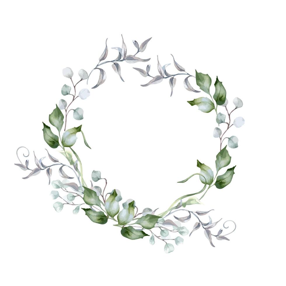 Greenery circle frame of eucalyptus branches, holly leaves and curly vines in sage green watercolor isolated. Foliage in pastel tones hand drawn for design packaging. Delicate green flora wreath. vector