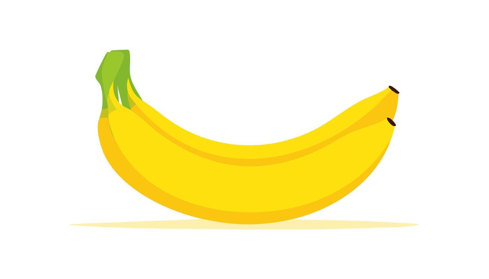 Stylized bananas in clean flat art style, grouped with smooth shadows on white background, ideal for fresh food concepts or tropical product labels. vector