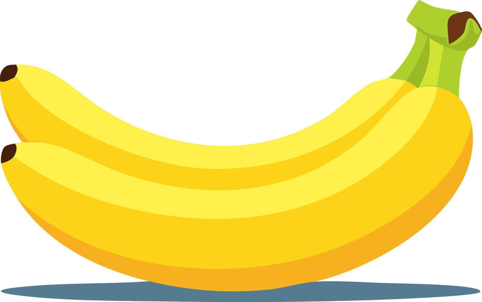 Fresh bananas with smooth yellow peel, flat design style on clean white background, soft shadows below, minimalistic and colorful tropical fruit illustration with green stem. vector