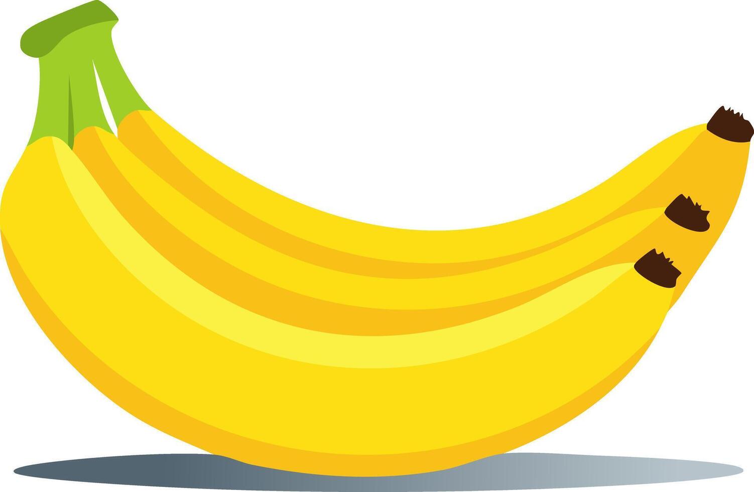 Modern flat design of bright yellow bananas with subtle shadows, arranged naturally on white background, ideal for digital food art and health-themed designs. vector