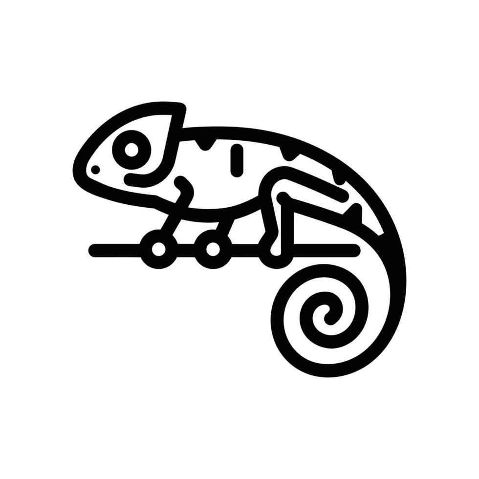 Linear chameleon clings to the branch with a curled tail, presented on white vector