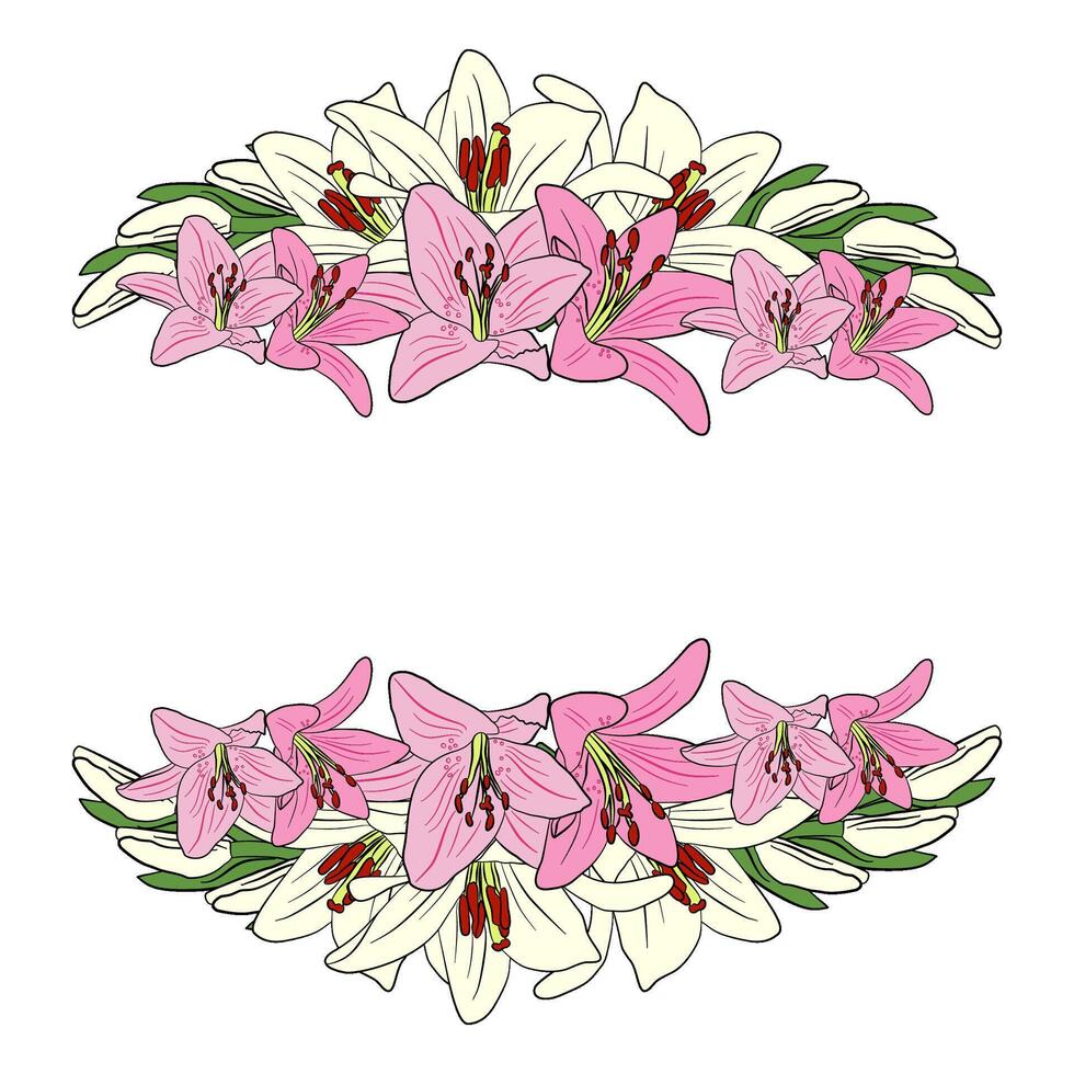 lilly flowers frame on transparent background vector