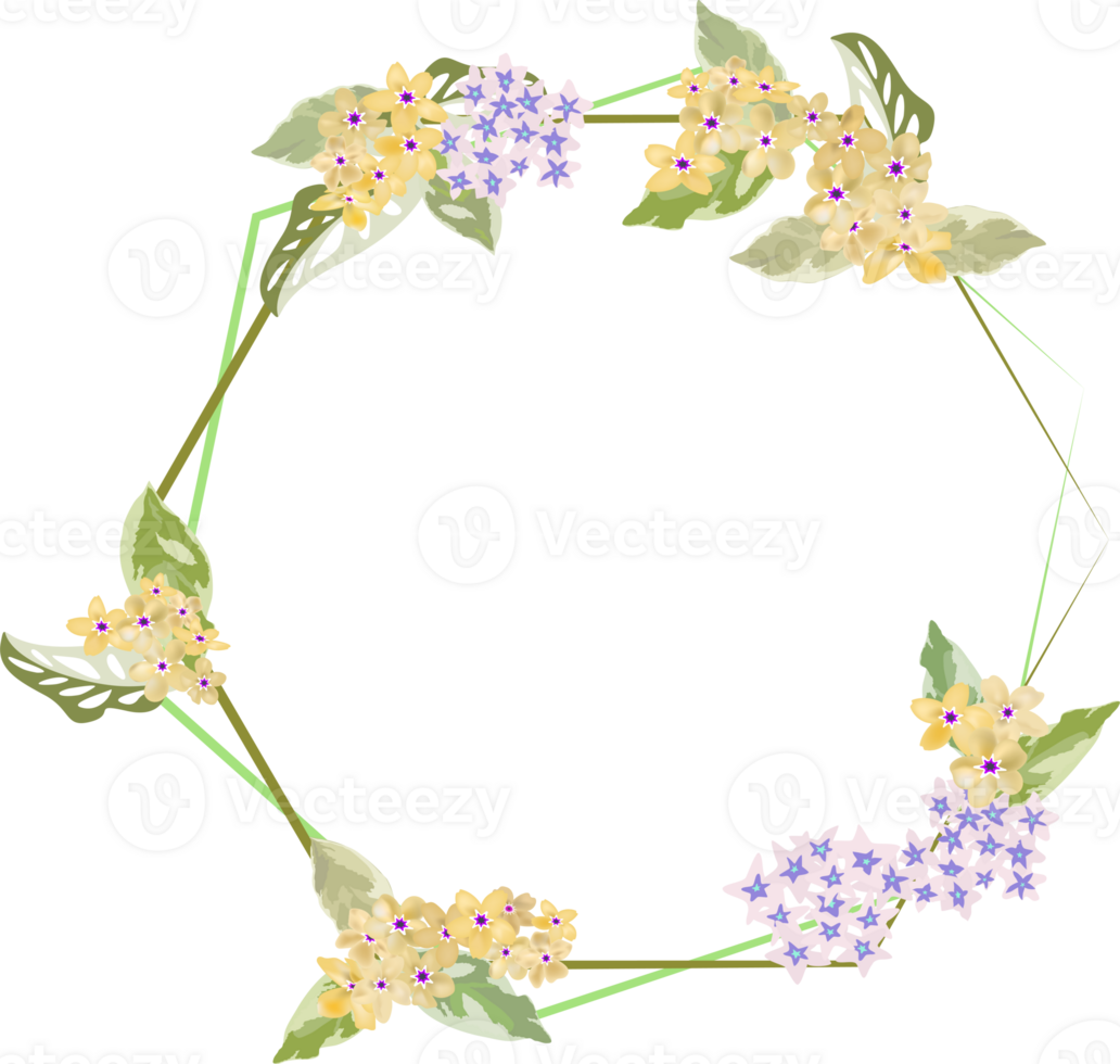 forget me not flower and foliage in hexagon frame on background png