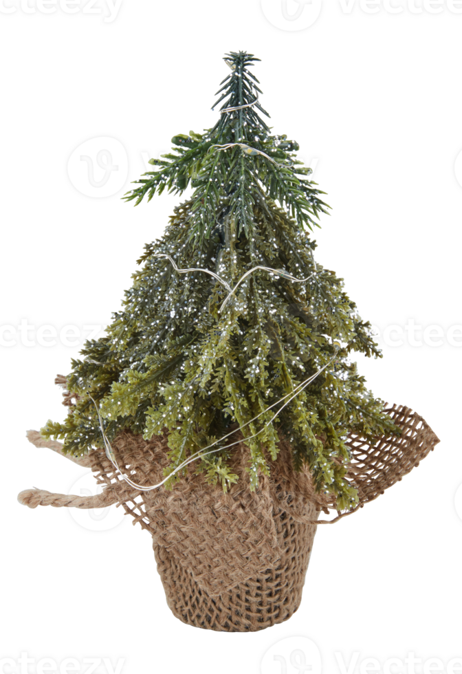 Christmas tree in a mesh pot cut out isolated transparent background png