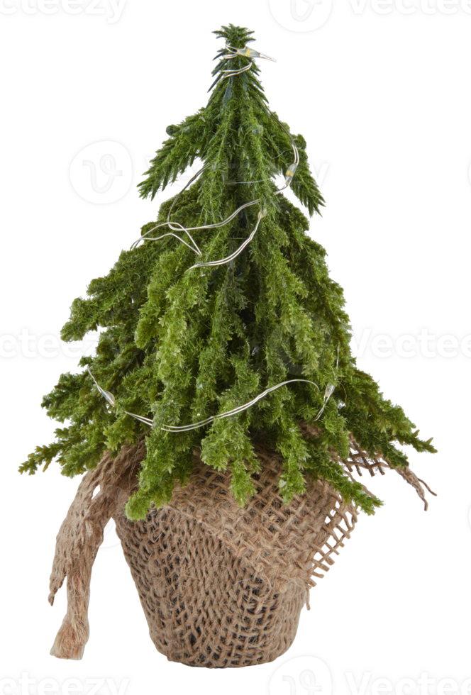 Christmas tree in a mesh bag cut out isolated transparent background png
