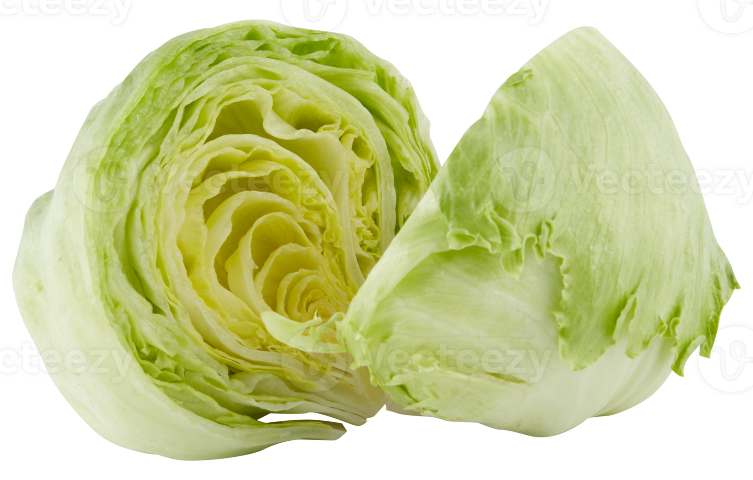 Fresh cabbage cut out isolated transparent background png