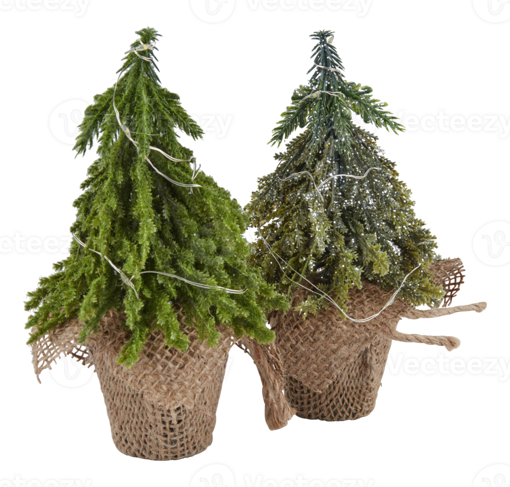 Pair of Christmas trees in a mesh bag cut out isolated transparent background png