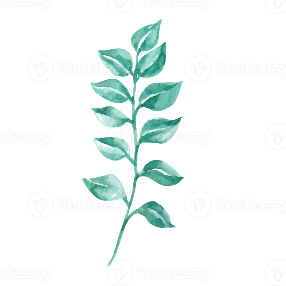 Watercolor Teal Green Leaf Branch Botanical Illustration Nature Design Element png