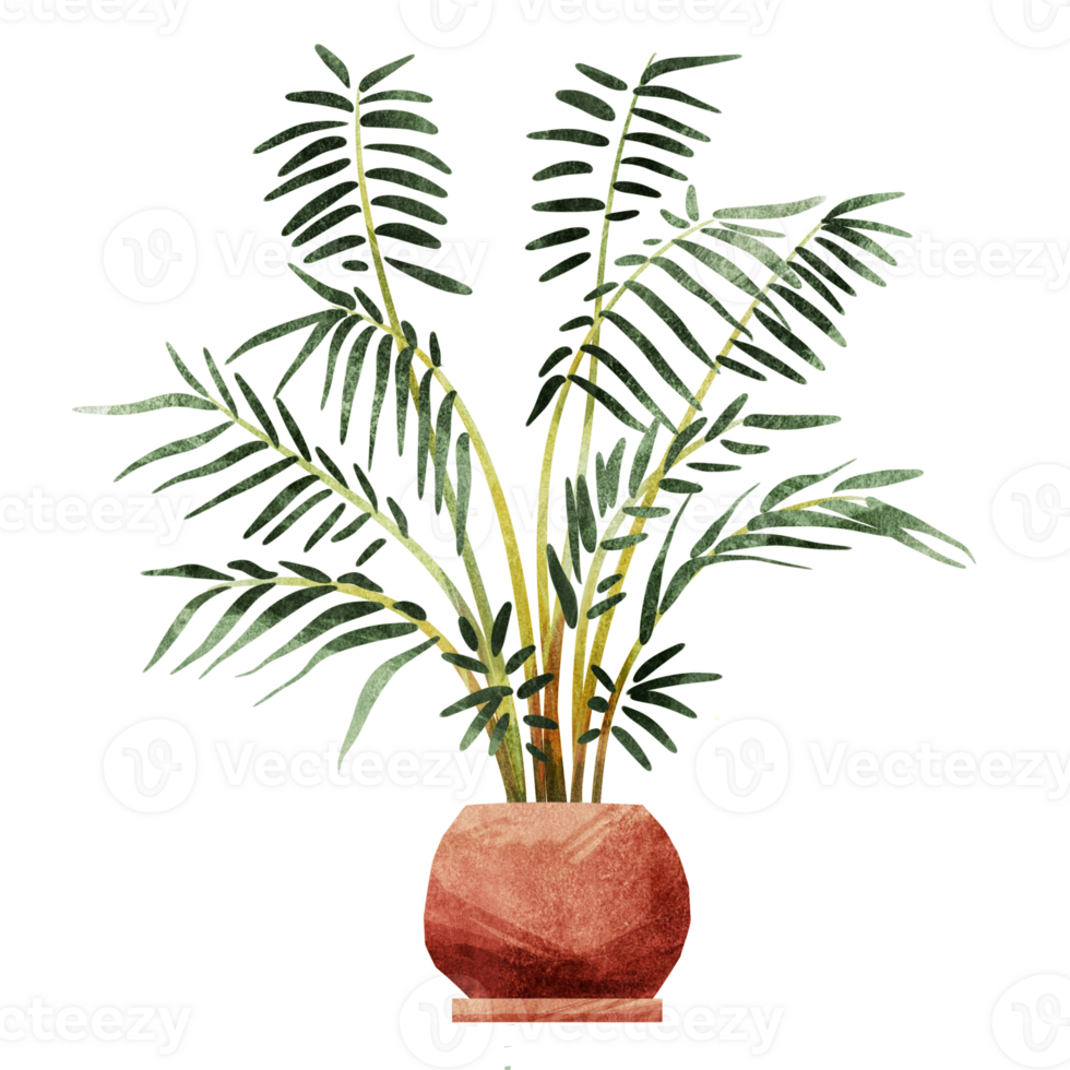 Areca palm illustration clipart. Handdrawn potted plant with isolated background. Watercolor style house plant. png