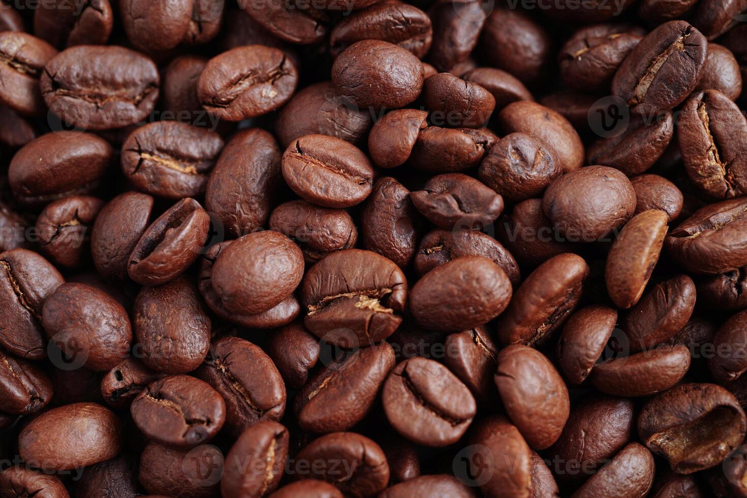 Coffee beans for export or import food product. photo
