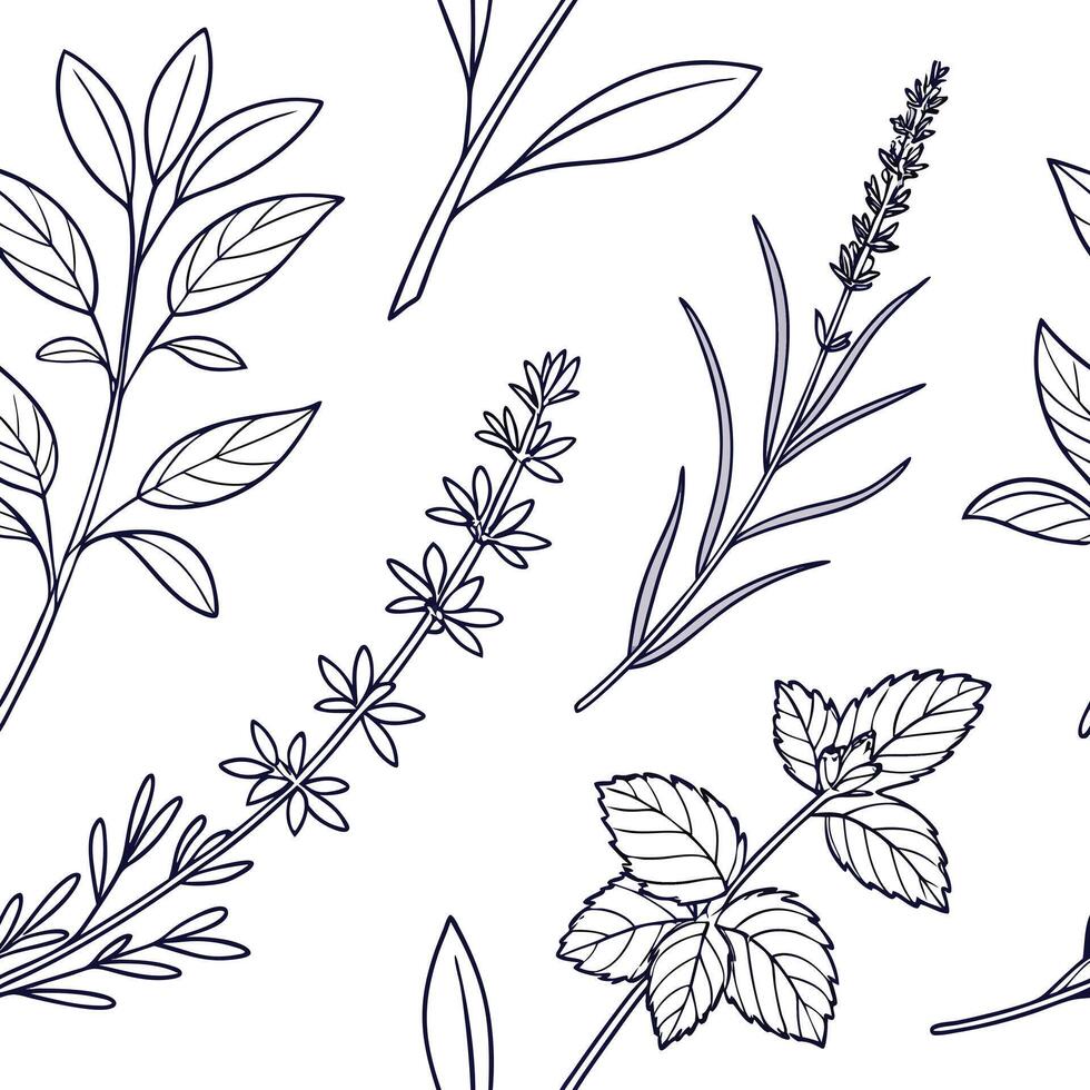 Seamless hand drawn botanical herb pattern design vector