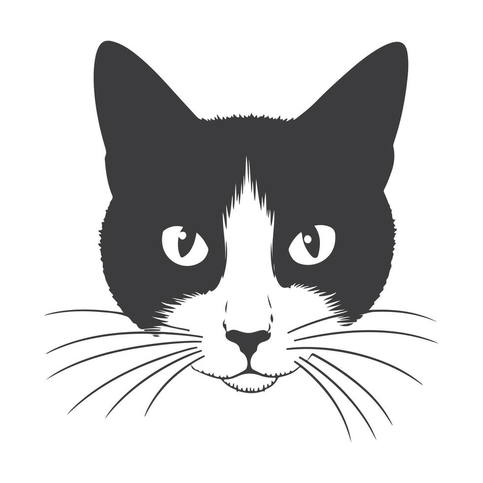 A black and white cat's face is shown on a white background vector