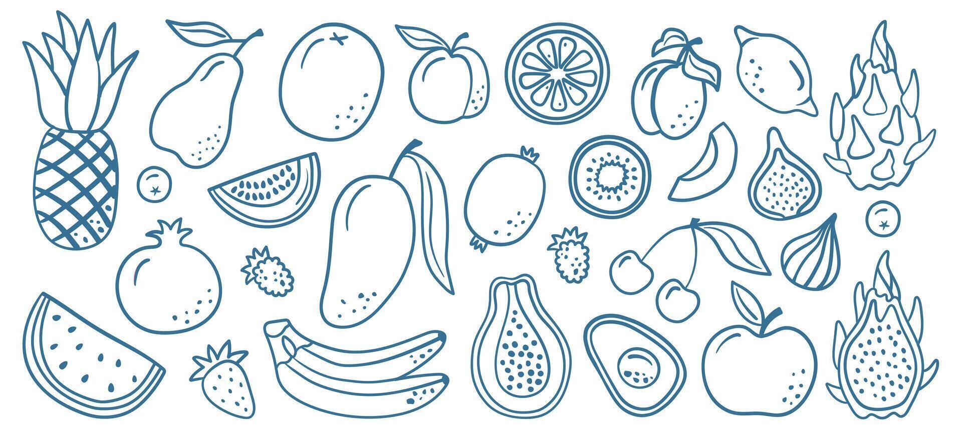 Hand-drawn doodle illustration of assorted fruits like pineapple, mango, and dragon fruit in blue line art, ideal for healthy eating, tropical themes, and food-related designs. vector