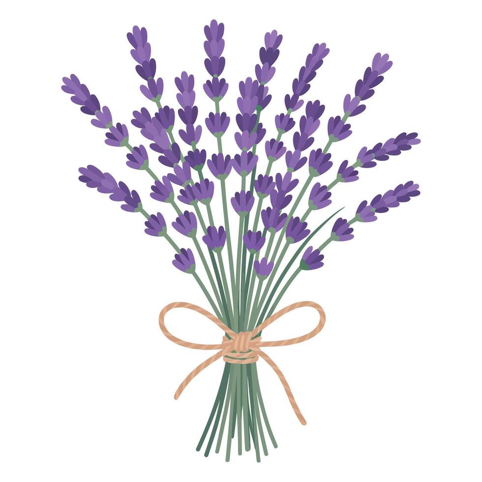 Botanical Lavender Bundle Flat Design. vector