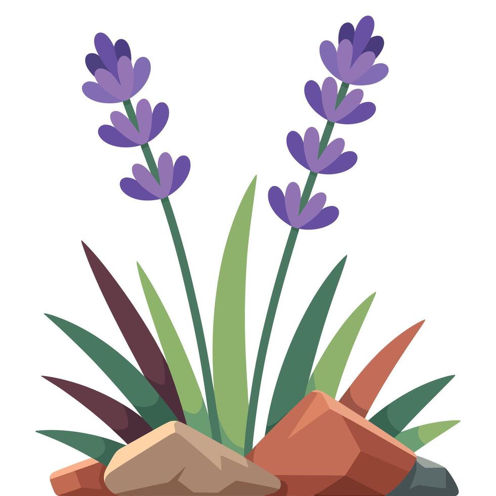 Flat Design Lavender with Decorative Foliage and Stones. vector